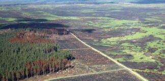 Bilder zeigen Zerstörung durch Waldbrände in NRW und Belgien Die Aufnahme aus einem Flugzeug zeigt den Blick auf das Waldbrandgebiet im Hohen Venn rund einen Monat nach den verheerenden Waldbränden.