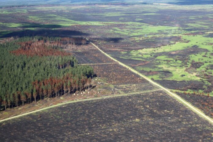 Zerstörung nach den Waldbränden im Hohen Venn Die Aufnahme aus einem Flugzeug zeigt den Blick auf das Waldbrandgebiet im Hohen Venn rund einen Monat nach den verheerenden Waldbränden.