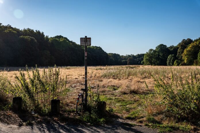Streit um Ausbau des Trainingszentrums des 1. FC Köln Der Streit um den Ausbau des Trainingszentrums des 1.FC Köln und die Gleueler Wiese im Grüngürtel der Stadt geht weiter. (Archivbild)
