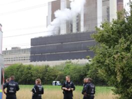 Mutmaßlicher Strom-Saboteur gefasst – was wir wissen Der Verdächtige wurde in der Nähe eines Kraftwerks gefasst.