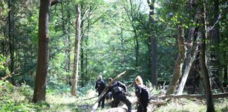 Strom-Sabotage: Tätersuche am Hambacher Forst erfolglos Die Polizei sucht mitten im Wald nach dem Verdächtigen.