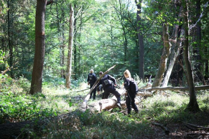 Strom-Sabotage: Suche nach Verdächtigem am Hambacher Forst Die Polizei sucht mitten im Wald nach dem Verdächtigen.