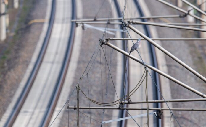 Oberleitungsschaden bei Hannover behoben Fernzüge zwischen Berlin und NRW über Hannover brauchen ab Oktober für rund 14 Monate rund 80 Minuten länger. (Archivbild)
