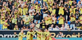 «Sehr vergnügt»: Dortmund als reifster Bayern-Rivale Gelbe Jubeltraube nach dem BVB-Siegtor in Sinsheim.