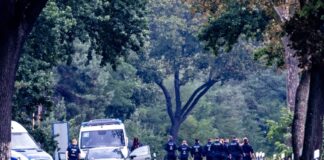 Sabotage am Stromnetz: Polizei prüft Bekennerschreiben Ein Bekennerschreiben wird derzeit von der Polizei geprüft.