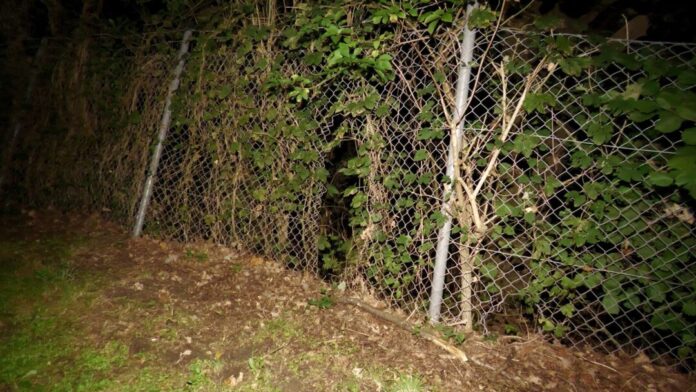 Beschädigter Zaun am Umspannwerk Wesel Das Loch in einem Zaun des Umspannwerks Wesel war einer Polizeistreife aufgefallen. Die Einsatzkräfte starteten daraufhin einen großen Einsatz.