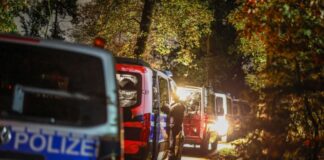 Strom-Sabotage: Suche nach Verdächtigem läuft In den Bekennerschreiben wird die Verbrennung fossiler Brennstoffe kritisiert.
