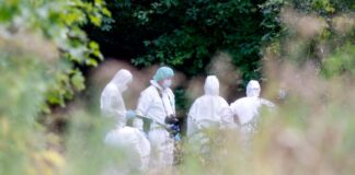 Stromnetz-Sabotage: «Der wollte weitermachen» Spurensicherung nach der Festnahme.