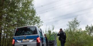 21 Sprengsätze an Stromleitungen entdeckt und entschärft Polizeikräfte stehen in einem Waldstück unter einer Stromtrasse nahe dem Ort Schleife im Landkreis Görlitz.