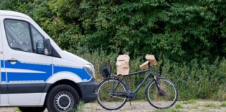 Stromnetz-Angriff: Tatverdächtiger kommt in U-Haft Der 48-jährige Tatverdächtige wurde am Dienstag festgenommen. (Archivbild)