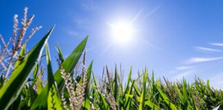 NRW im September: Warm, sonnig und außergewöhnlich trocken Der September war in Nordrhein-Westfalen besonders sonnig, warm und trocken. (Archivbild)