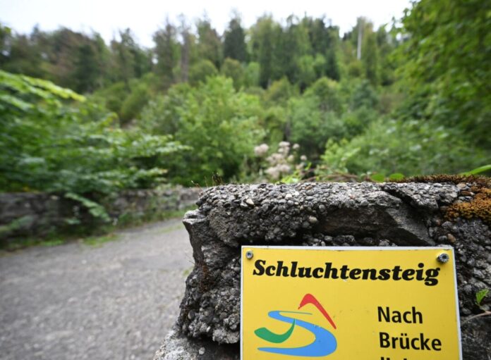 Vermisstenfall Scarlett Die junge Frau hat das Ziel ihrer Wanderetappe wie es scheint nie erreicht. (Archivbild)