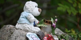«Verbrechen wäre das Schlimmste»: Der Stand im Fall Scarlett Bis heute gibt es keinen bestätigten Hinweis darauf, was mit der Wanderin geschehen ist. (Archivbild)