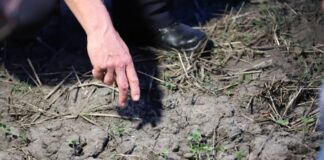 Sabotage am Stromnetz: Polizei findet Bekennerschreiben Die Ermittler suchen weiter nach dem Strom-Saboteur.