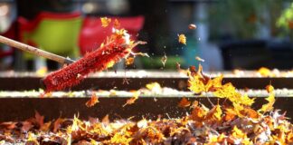 Mehr als buntes Laub: Wo NRW im Herbst besonders fotogen ist Buntes Herbstlaub ist das Fotomotiv schlechthin in jedem Herbst. Doch es gibt auch Orte, die die Jahreszeit in NRW besonders gut in Szene setzen.