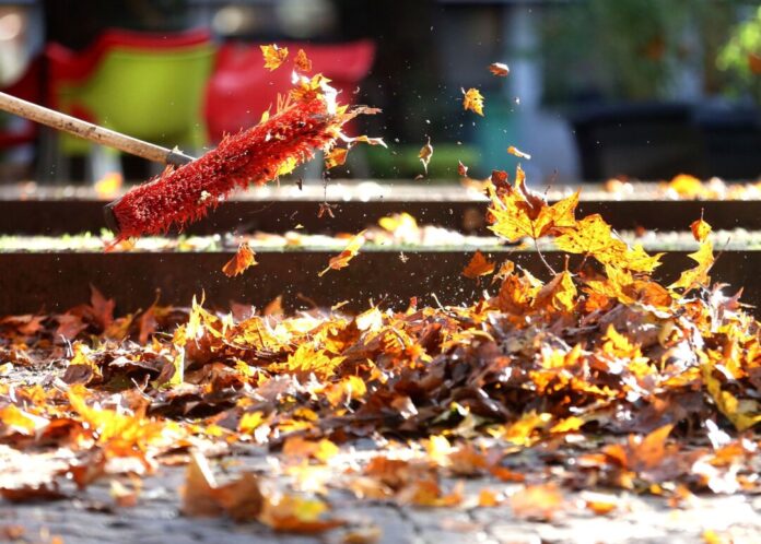 Hier ist NRW im Herbst besonders fotogen Buntes Herbstlaub ist das Fotomotiv schlechthin in jedem Herbst. Doch es gibt auch Orte, die die Jahreszeit in NRW besonders gut in Szene setzen.