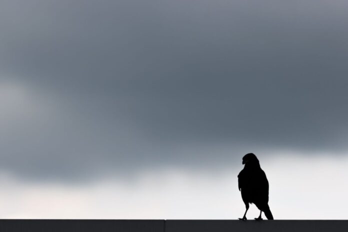 Wetter in Köln In den kommenden Tagen erwartet die Menschen in NRW vor allem Wolken. (Symbolbild)