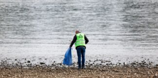 Rhein-Pegelstand erreicht Rekordtief Das Niedrigwasser am Rhein hat mancherorts einen Rekordwert erreicht.