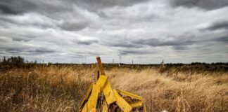 BUND will wegen Hambach-Grundstück nach Leipzig Um dieses Grundstück am Rande des Tagebaus Hambach geht der juristische Streit weiter. (Archivbild)
