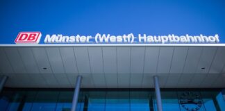 Brand in Oberleitung am Bahnhof Münster: gefiederter «Täter» Ein Vogel soll Auslöser für einen Brand in einer Oberleitung des Münsteraner Hauptbahnhofs gewesen sein. (Archivbild)