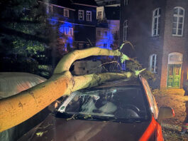Sturm-Wochenende in Velbert: Auto von Baum begraben