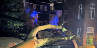 Sturm-Wochenende in Velbert: Auto von Baum begraben