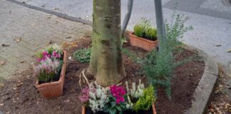 Wülfrather Hospizgruppe traurig über Blumen-Diebstahl Hier war die Welt noch in Ordnung: Die bepflanzten Kästen stehen in dem Beet vor dem Büro der Hospizgruppe. Foto: privat