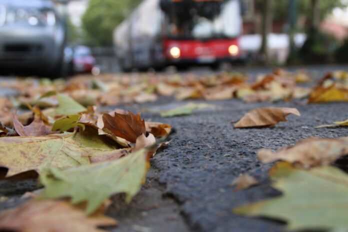 Laub muss nicht nur gefegt, sondern auch korrekt entsorgt werden. Foto: VZ NRW/adpic Laub muss nicht nur gefegt, sondern auch korrekt entsorgt werden. Foto: VZ NRW/adpic