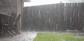 Wenn in kurzer Zeit viel Regen fällt: Das Grundstück als Schwamm Den Garten kann man zu einem Regenwasserspeicher machen. Foto: VZ NRW/adpic