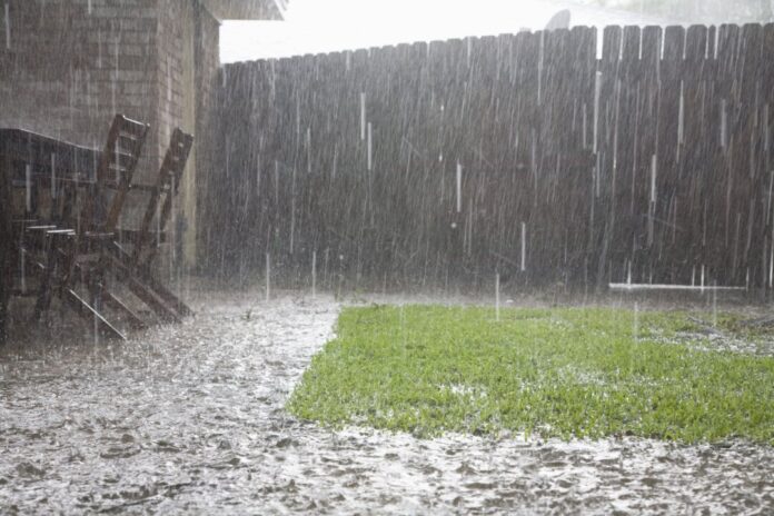 Den Garten kann man zu einem Regenwasserspeicher machen. Foto: VZ NRW/adpic Den Garten kann man zu einem Regenwasserspeicher machen. Foto: VZ NRW/adpic