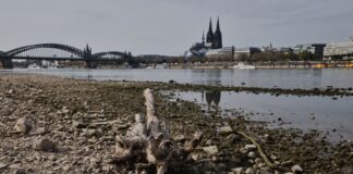 Extremes Niedrigwasser «lässt sich nicht wegbaggern» Die Wasserstände der Flüsse waren nach einer Auswertung des Science Media Center dieses Jahr extrem niedrig (Archivbild).
