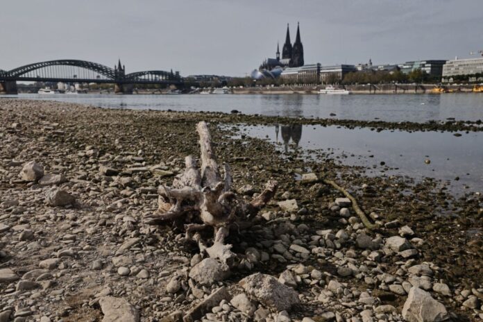Niedrigwasser am Rhein in Köln Die Wasserstände der Flüsse waren nach einer Auswertung des Science Media Center dieses Jahr extrem niedrig (Archivbild).