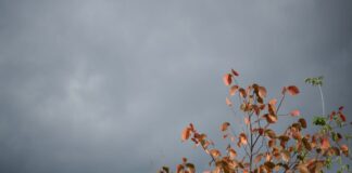 Wechselhaftes Herbstwetter in NRW mit Sturmböen Die nächsten Tage wird es regnerisch herbstlich. (Symbolbild)