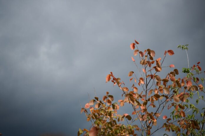 Herbstwetter Die nächsten Tage wird es regnerisch herbstlich. (Symbolbild)