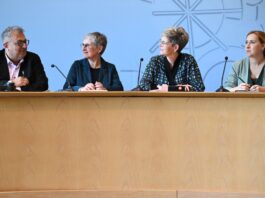Grüne drängen auf Prüfung eines AfD-Verbotsverfahrens Die Grünen wollen die Prüfung eines AfD-Verbotsverfahrens vorantreiben.