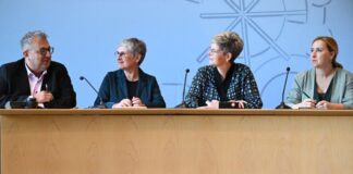 Grüne drängen auf Prüfung eines AfD-Verbotsverfahrens Die Grünen wollen die Prüfung eines AfD-Verbotsverfahrens vorantreiben.