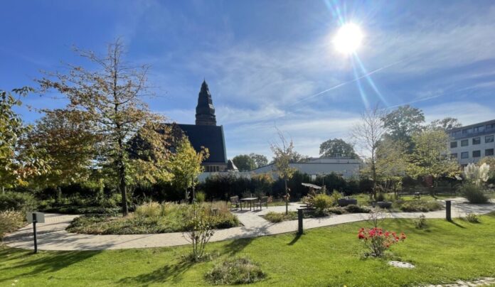 Garten_10.26