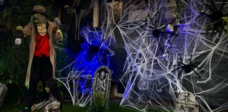 Halloween 2026: Mettmanner Horrorhaus feiert Grusel-Comeback Das Halloween-Haus in Mettmann finden Gruselfans an der Straße Am Krumbach 10. Foto: Strenger