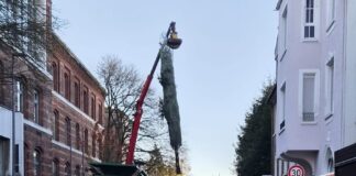 Zwei große Tannenbäume schmücken Mettmann Der Tannenbaum fürs Rathaus "fliegt" ein. Foto: Kreisstadt Mettmann