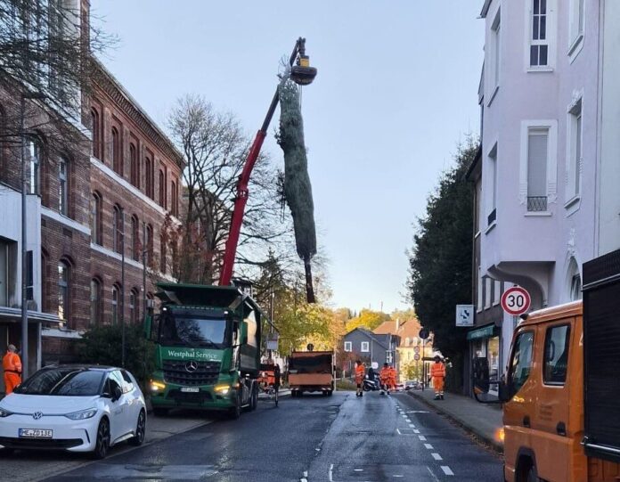 Tannenbaum vor dem Rathaus aufgestellt (2) Der Tannenbaum fürs Rathaus "fliegt" ein. Foto: Kreisstadt Mettmann