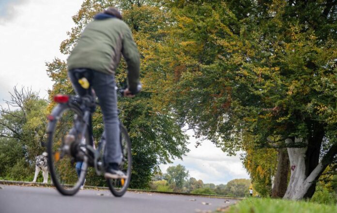 Wetterausblick zum Start in die neue Woche Für die kommenden Tage erwartet der DWD windiges und regnerisches Wetter in NRW. (Symbolfoto)