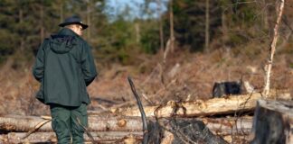 Großbrand im Hohen Venn: Renaturierung wird konkret Der Brand tobte zwischenzeitlich nur wenige Hundert Meter von der deutschen Grenze entfernt.