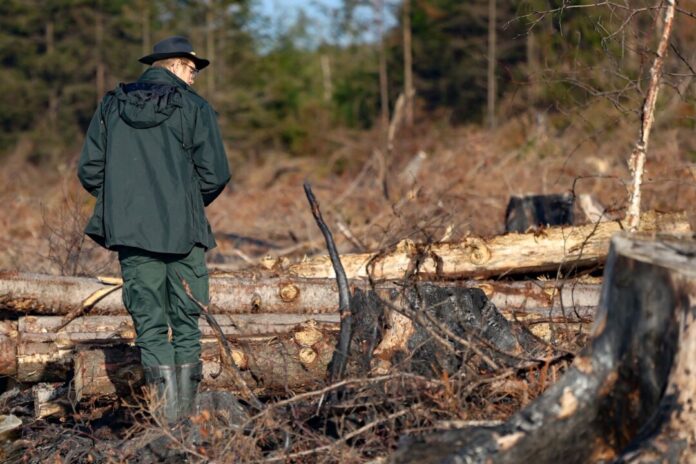 Nach dem Waldbrand im Hohen Venn Der Brand tobte zwischenzeitlich nur wenige Hundert Meter von der deutschen Grenze entfernt.