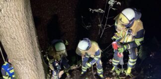 Feuerwehr rettet Hund aus zwei Meter tiefem Fuchsbau Feuerwehrleute heben ein rund zwei Meter tiefes Loch aus, um einen Hund zu befreien.