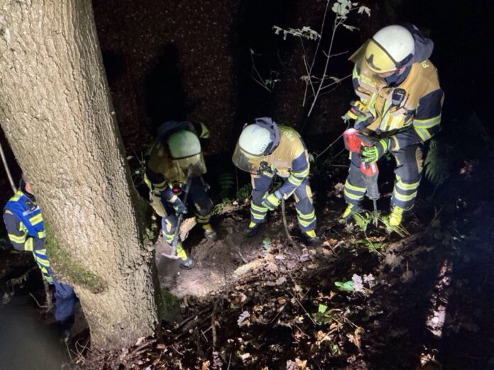 Feuerwehr Befreit Hund in Bochum Feuerwehrleute heben ein rund zwei Meter tiefes Loch aus, um einen Hund zu befreien.