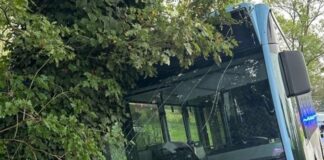 Busunfall mit verletzten Kindern: Polizei sucht Autofahrer In dem Bus saßen nach Polizeiangaben Kinder im Alter zwischen 10 und 14 Jahren. (Handoutbild)