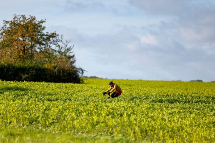 Stürmisches Wetter in Nordrhein-Westfalen erwartet Die nächsten Tage bleiben in NRW weitgehend niederschlagsfrei. (Archivbild)