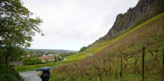 Durchmischtes Wetter zum Start in die Woche Der Wochenstart bringt durchmischtes Wetter nach NRW.