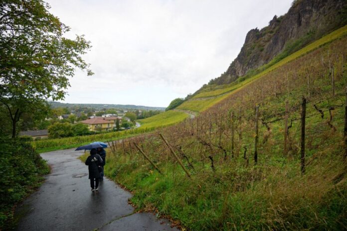 Herbstwetter am Rhein Der Wochenstart bringt durchmischtes Wetter nach NRW.