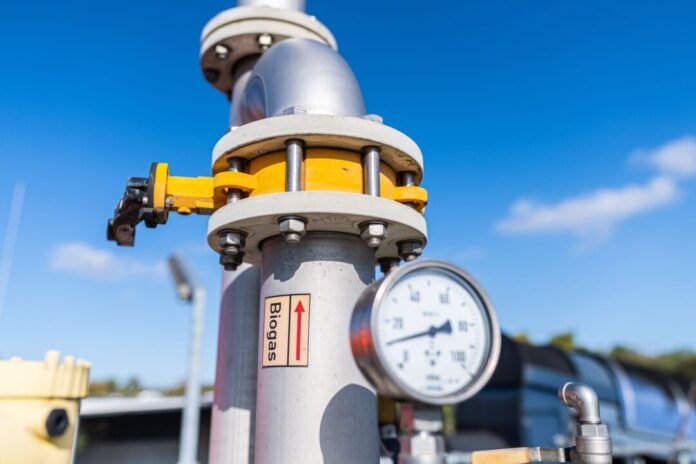 Biogasanlage Viele Biogasanlagen produzieren Strom und Wärme gleichzeitig. (Symbolbild)
